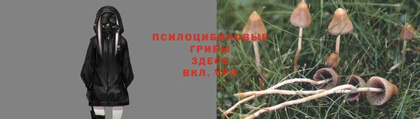 стафф Бронницы