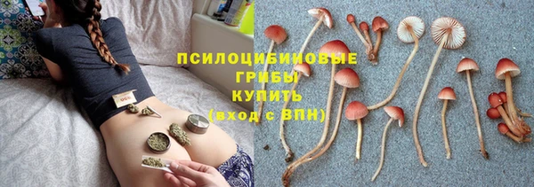 каннабис Бородино